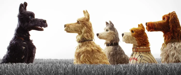 Why Isle of Dogs Has This Name and Some Observations About the Film